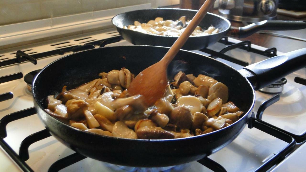 فيلا Jasliskaفي Gutkowa Koliba المظهر الخارجي الصورة